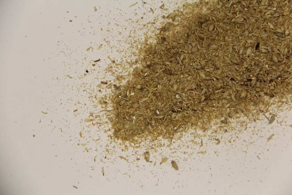 MALT SPROUTS LaBudde Group