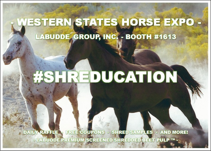 SHREDUCATION - Expo