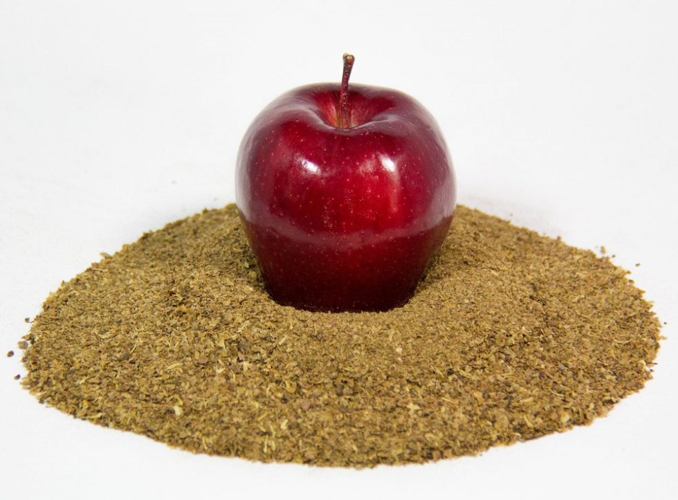 APPLE FIBER LaBudde Group