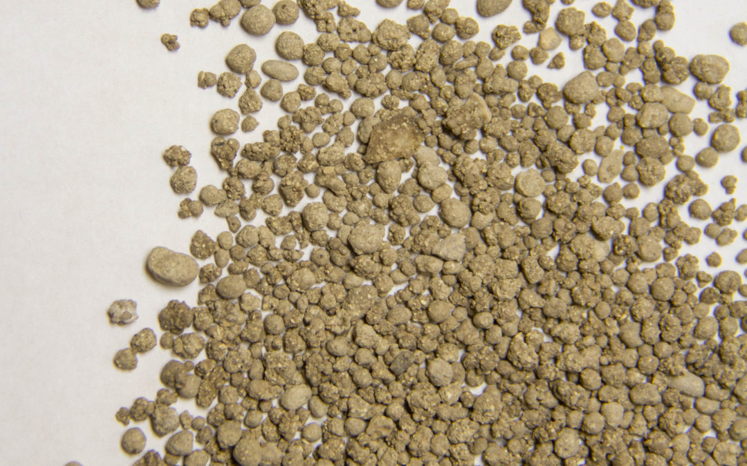 BONE MEAL STEAMED LaBudde Group