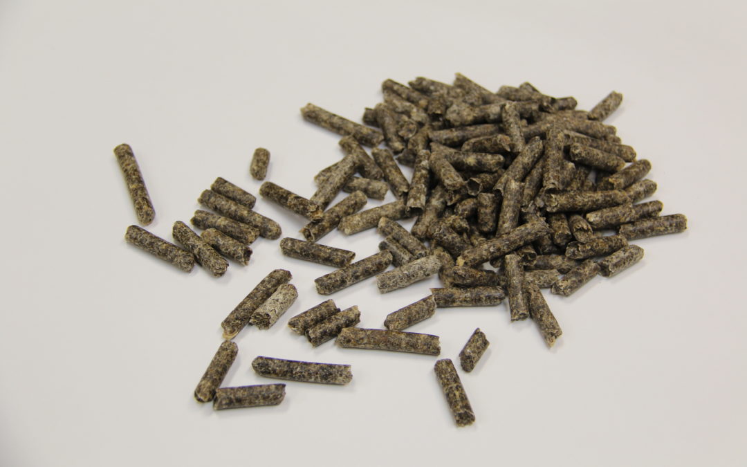 BEET PULP, PELLETS