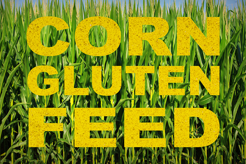 Corn Gluten Feed