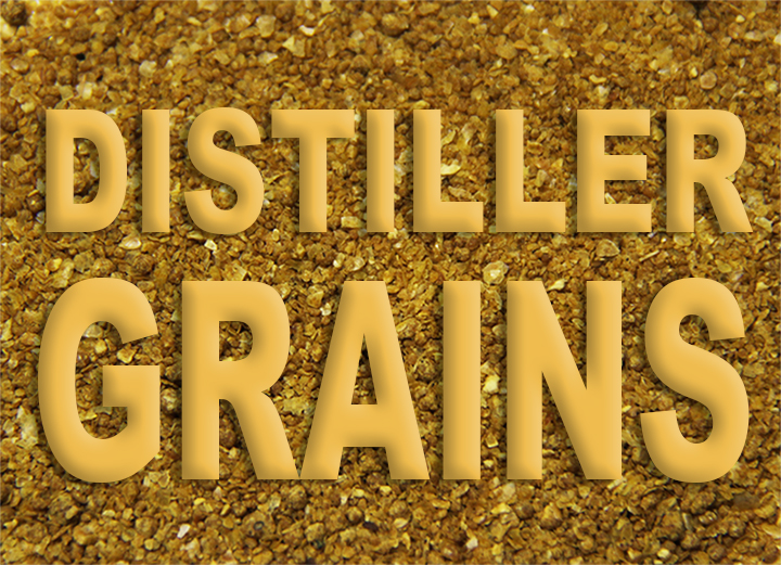 Distiller Grains