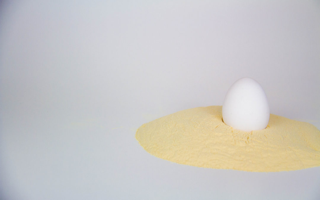 EGG POWDER, INEDIBLE