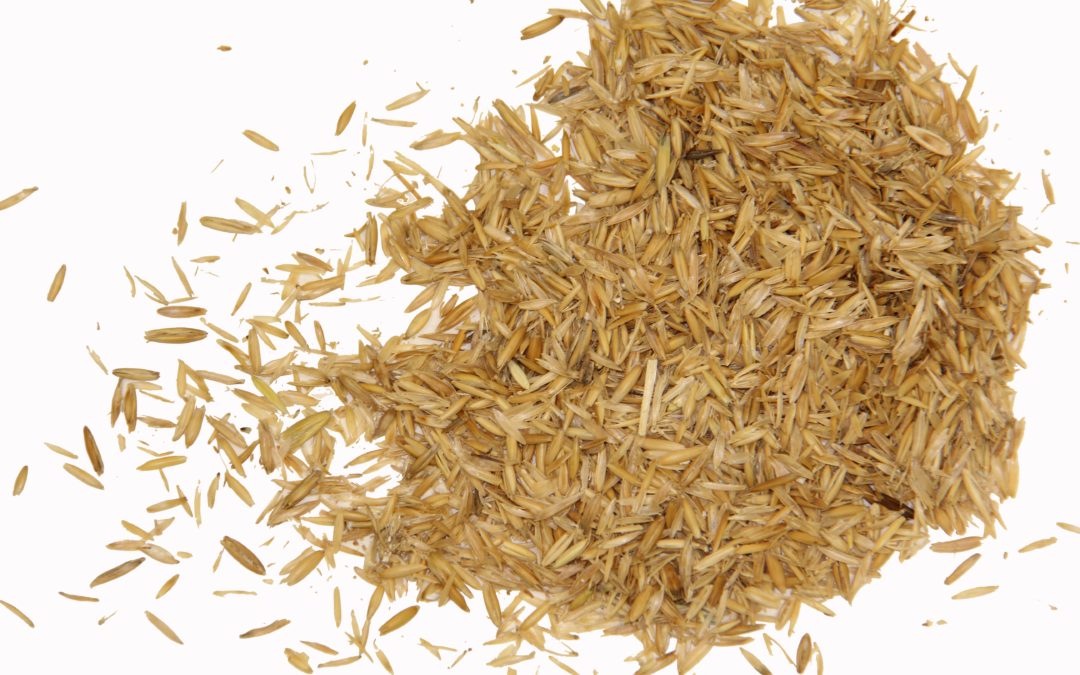 OAT HULLS LaBudde Group