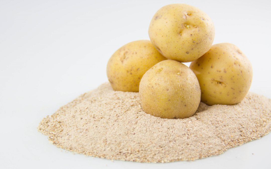 POTATO PRODUCT, DRIED